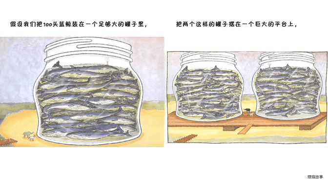 蓝鲸是最大的吗？绘本故事第5页
