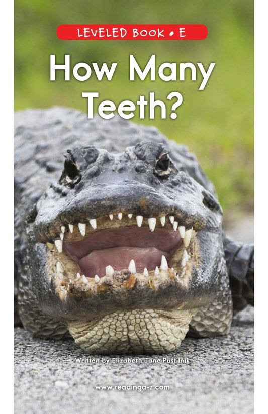 How Many Teeth绘本故事第2页