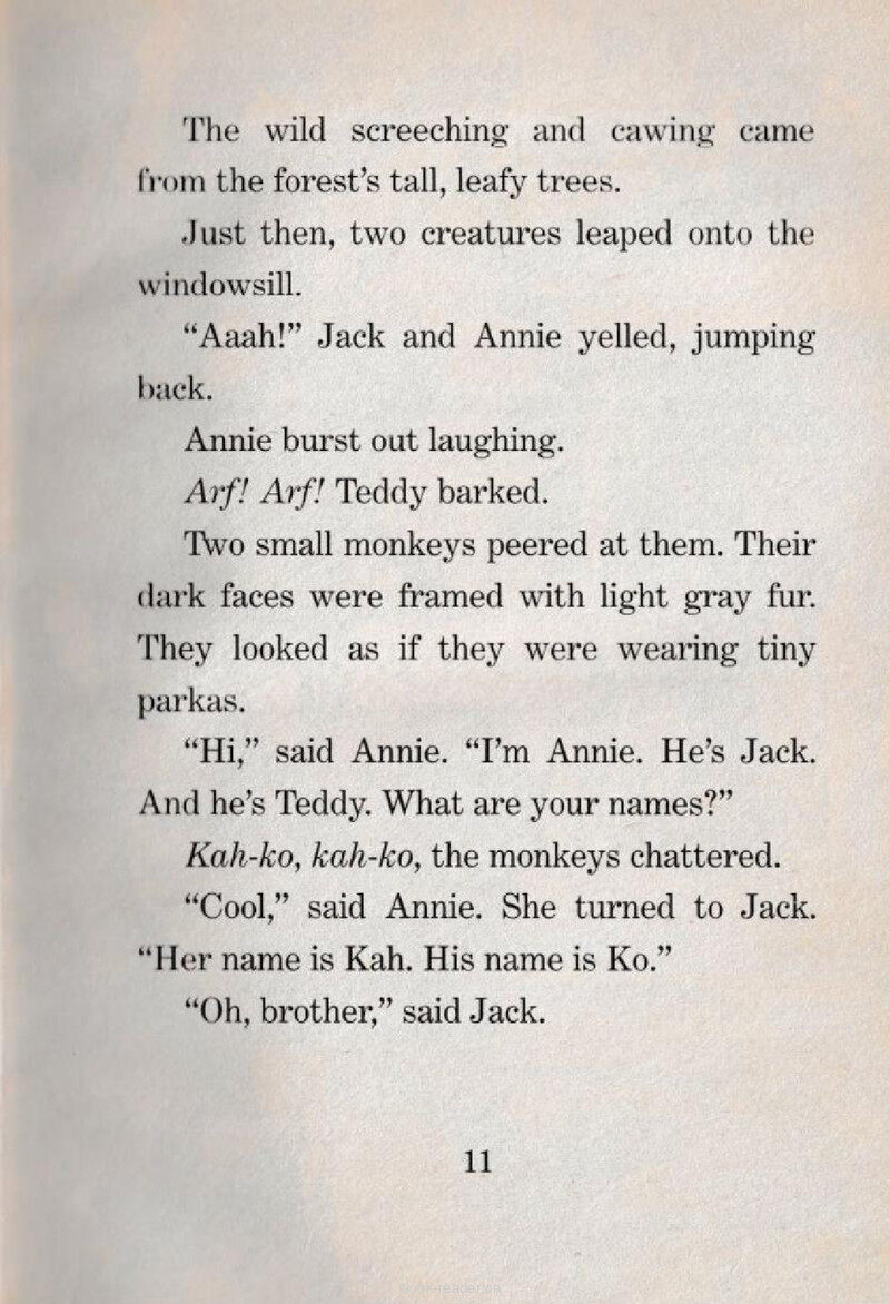 02 Kah and Ko绘本故事第3页