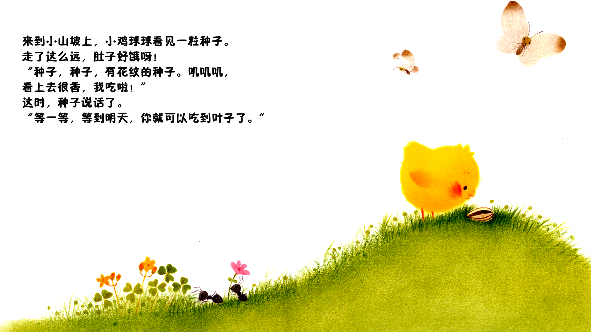 小鸡球球和向日葵绘本故事第5页