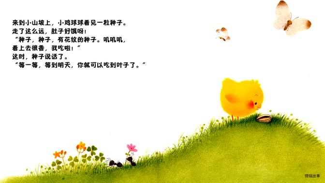 小鸡球球和向日葵绘本故事第5页