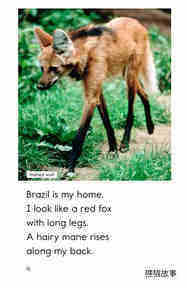 Are You From Brazil绘本故事第4页
