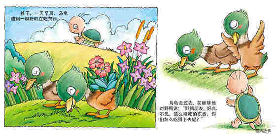 乌龟飞天绘本故事第3页