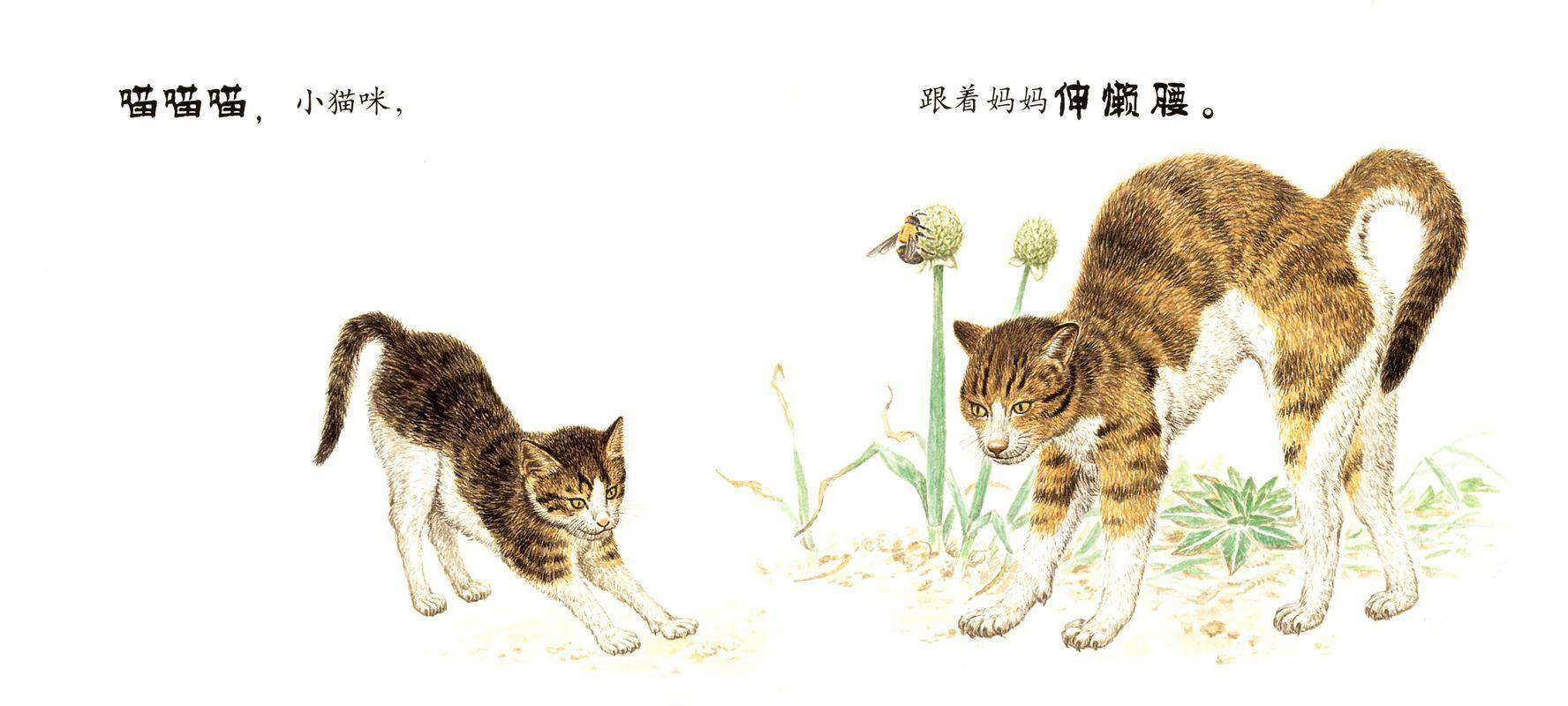 跟着妈妈哒哒走绘本故事第4页