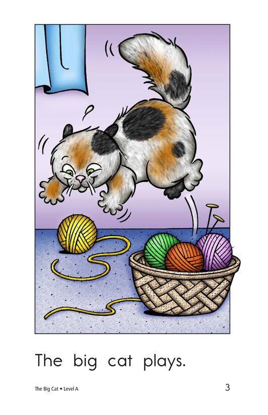 The Big Cat绘本故事第3页