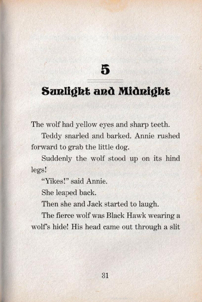 05 Sunlight and Midnight绘本故事第2页