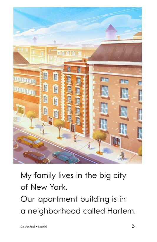 On the Roof绘本故事第3页