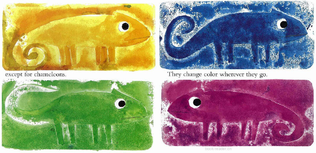  A color of his own绘本故事第5页