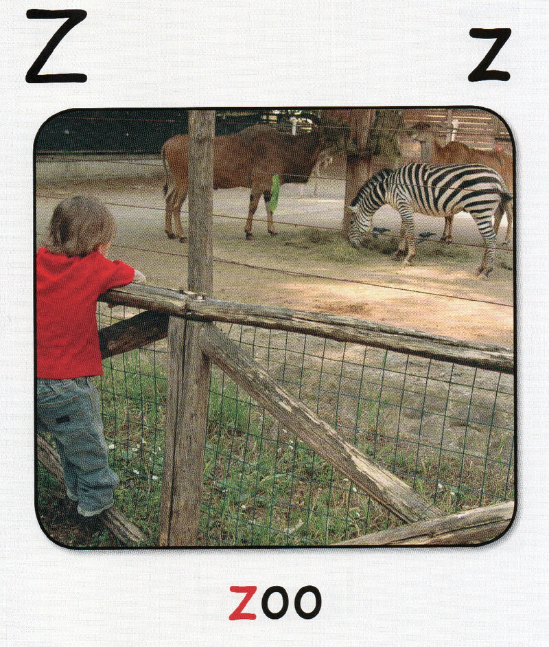 Z绘本故事第5页