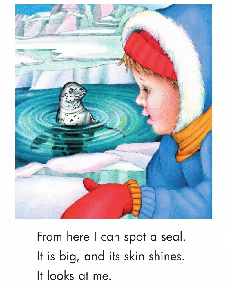 My Walk in Antarctica绘本故事第5页