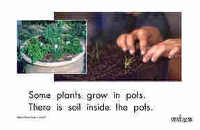Where Plants Grow绘本故事第5页