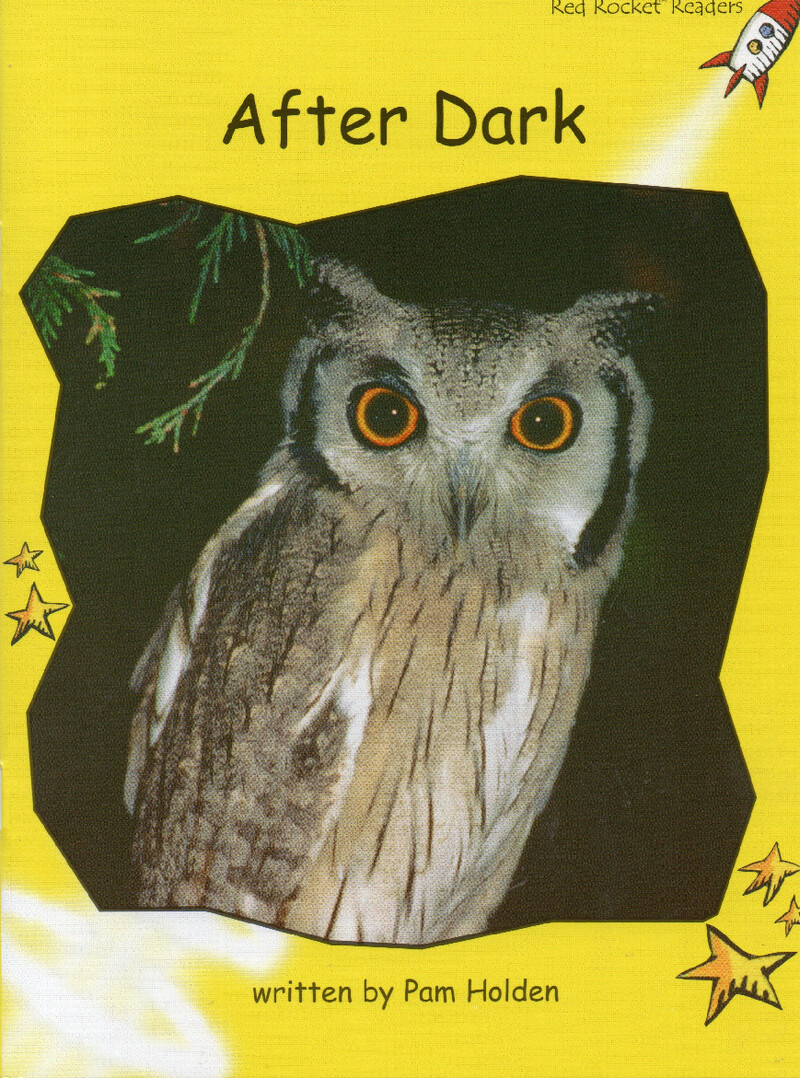 after dark绘本故事第2页