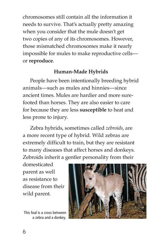 Hybrid Animals绘本故事第5页