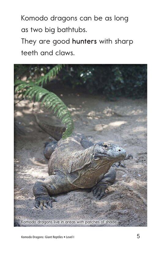 Komodo Dragons Giant Reptiles绘本故事第4页