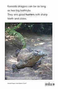 Komodo Dragons Giant Reptiles绘本故事第4页