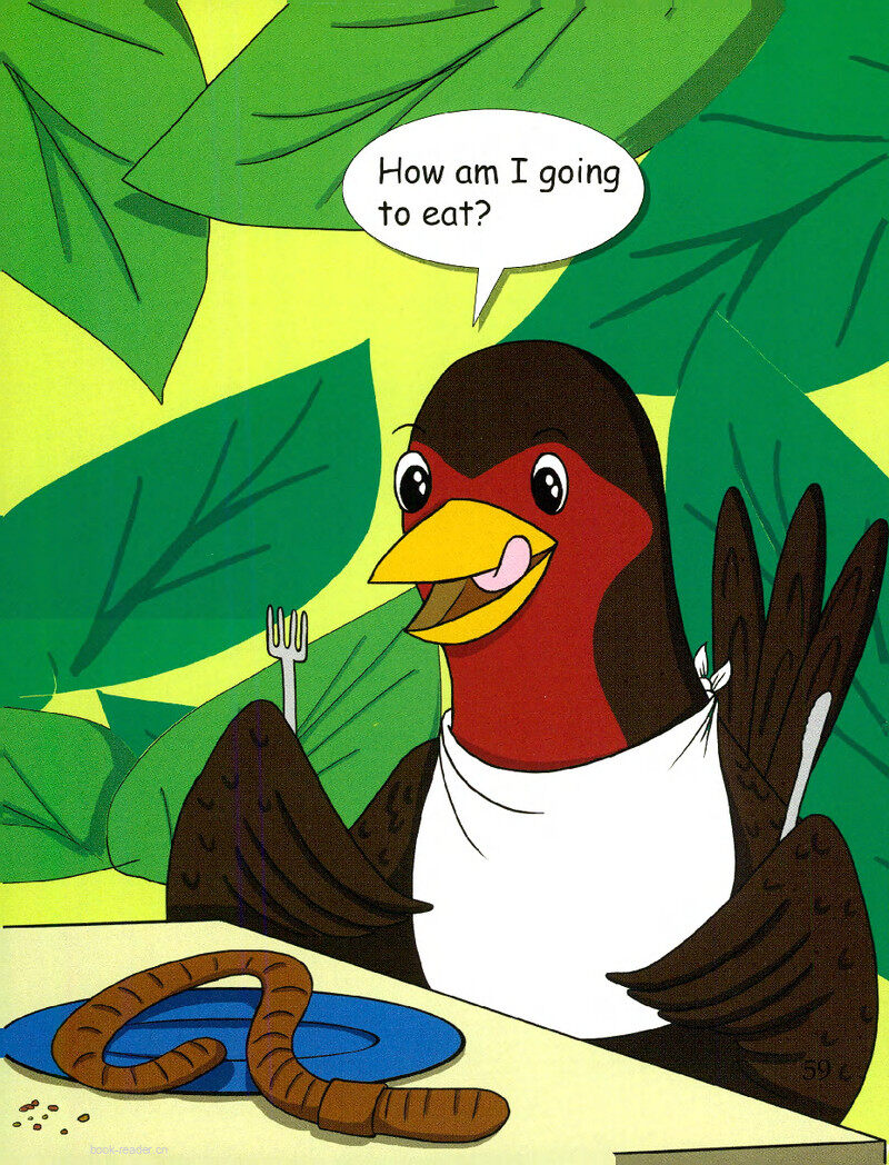 What Do Birds Eat?绘本故事第3页