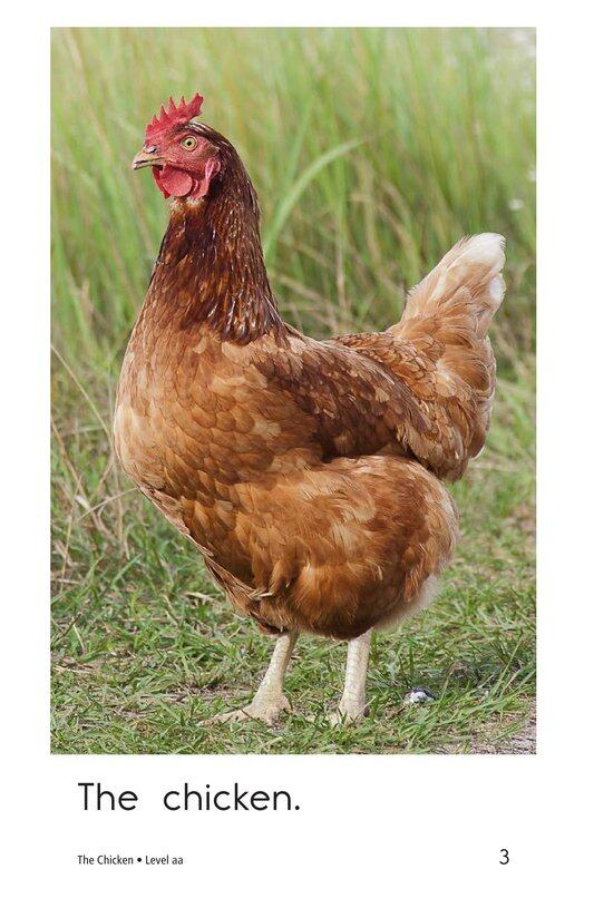 The Chicken绘本故事第3页