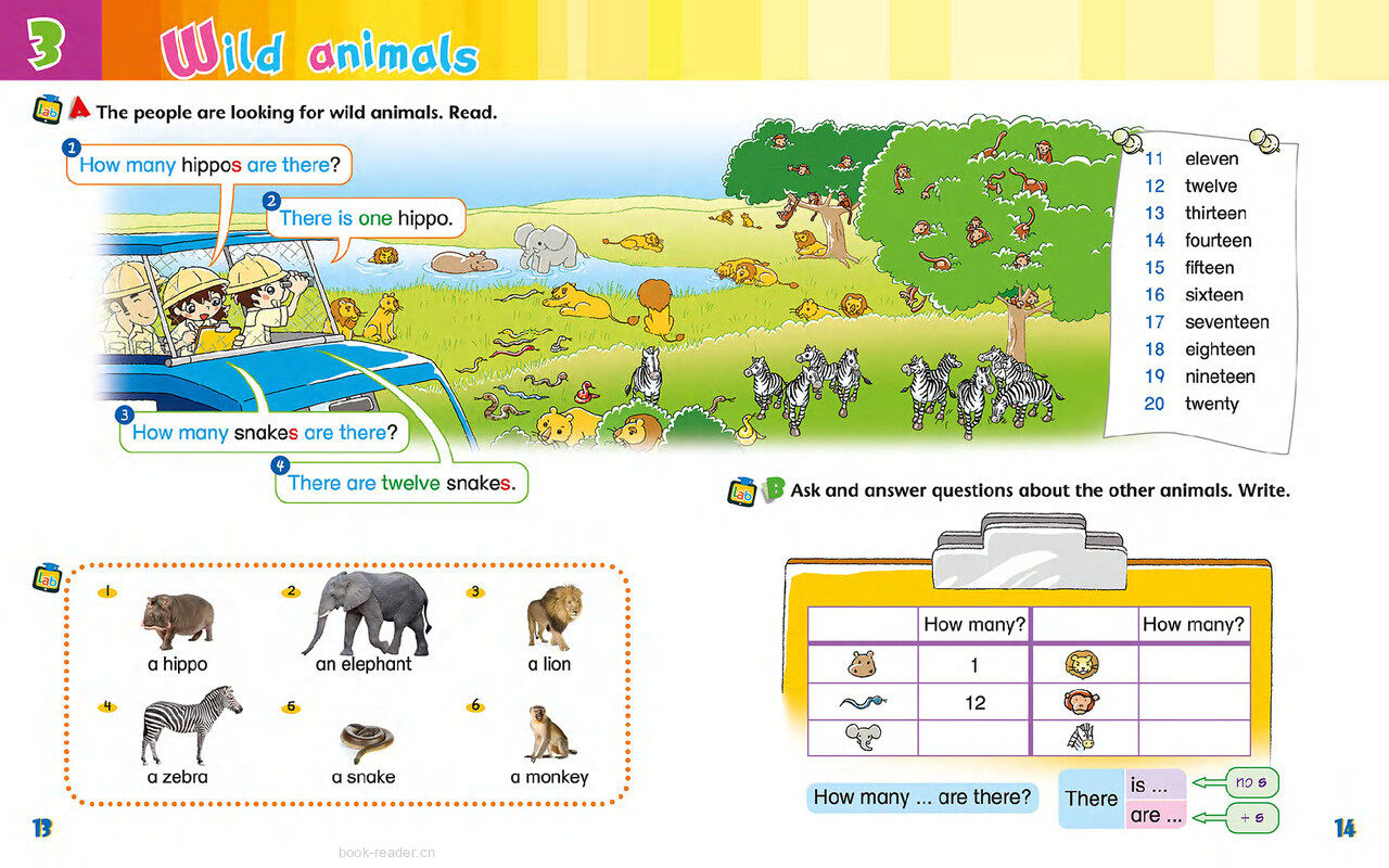 3 Wild animals绘本故事第3页