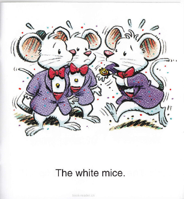 The Mice Kiss绘本故事第4页