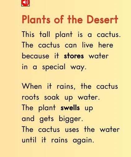 All About The Sonoran Desert绘本故事第4页