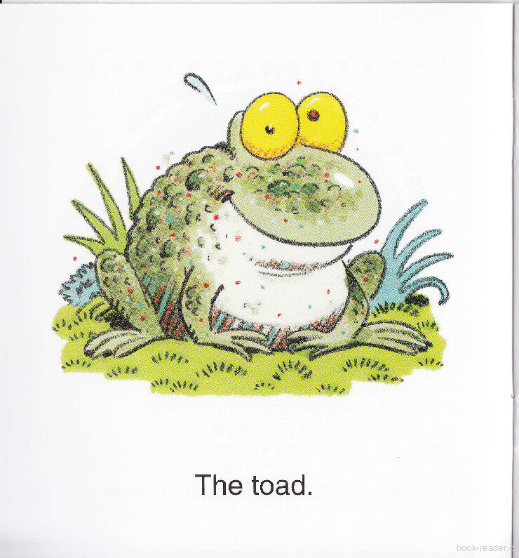 Toad's Lost Roast绘本故事第3页