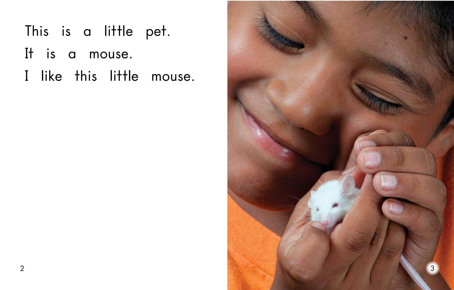 Our pets绘本故事第3页