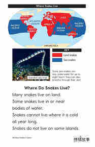 All About Snakes绘本故事第4页