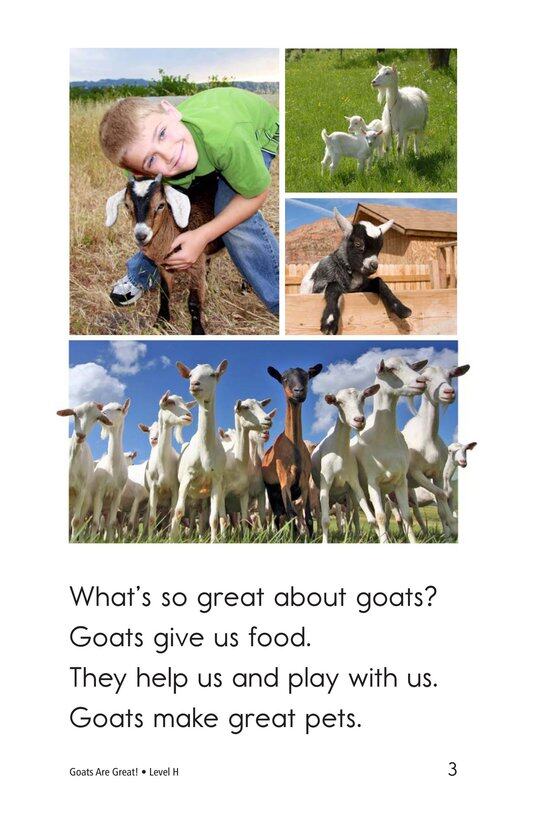 Goats Are Great!绘本故事第3页