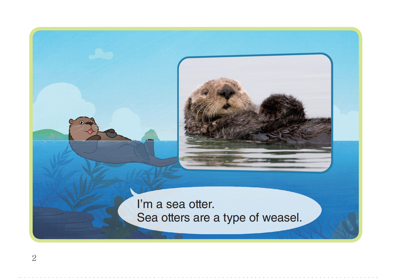 Sea Otter绘本故事第3页