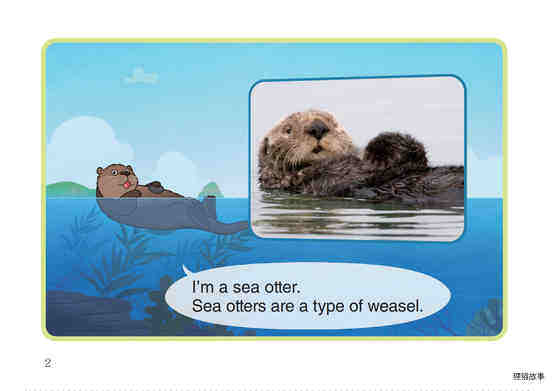 Sea Otter绘本故事第3页