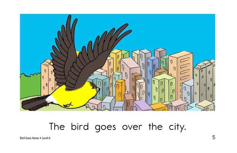 Bird Goes Home绘本故事第5页