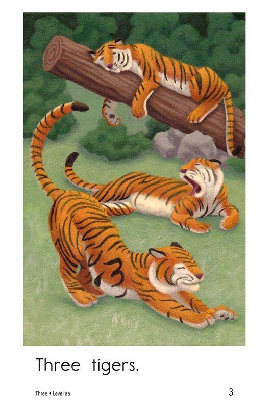 Three绘本故事第3页