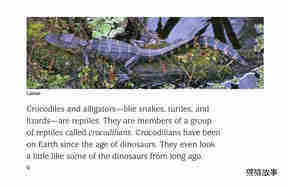 Crocs and Gators绘本故事第4页