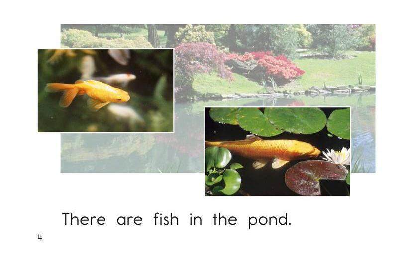 Pond Life绘本故事第4页