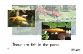 Pond Life绘本故事第4页