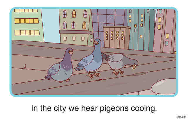 City Sounds and Country Sounds绘本故事第2页