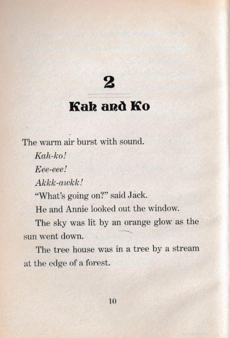 02 Kah and Ko绘本故事第2页