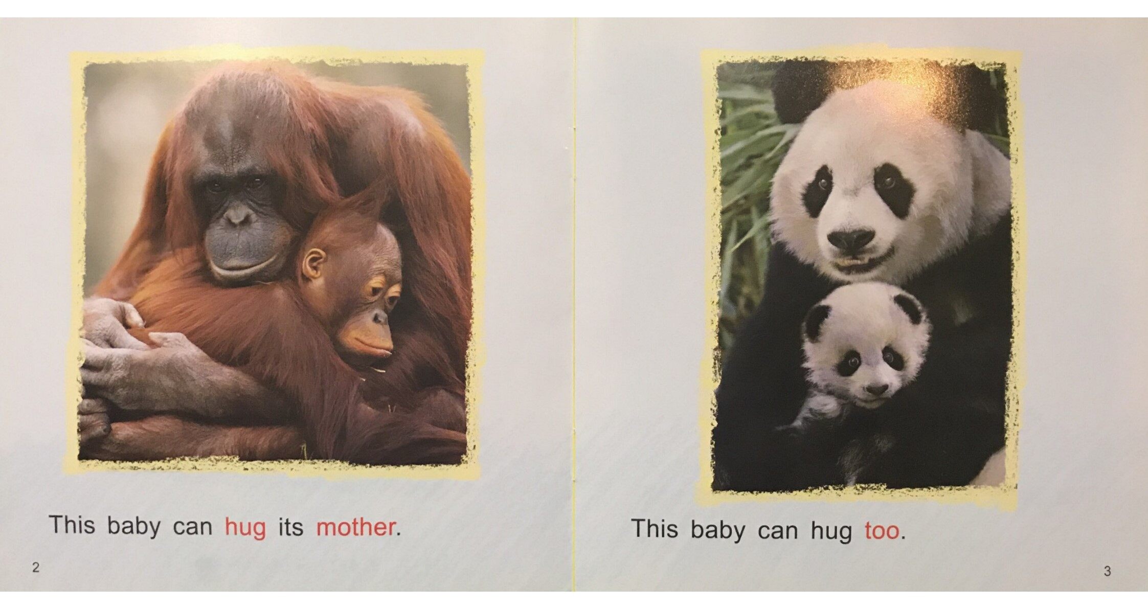 Animal Babies绘本故事第3页