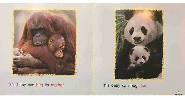 Animal Babies绘本故事第3页