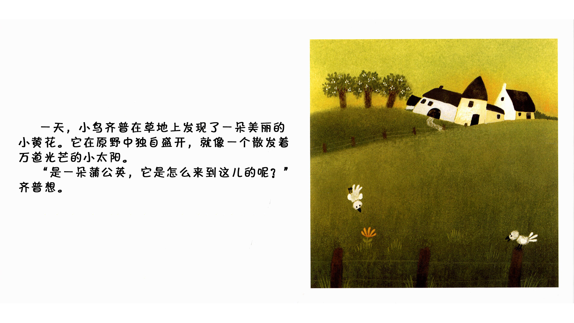 蒲公英  绘本故事第4页