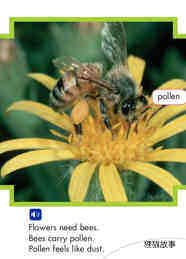 Bees and Flowers绘本故事第5页