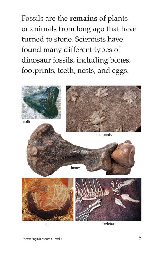 Discovering Dinosaurs绘本故事第4页