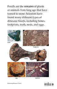 Discovering Dinosaurs绘本故事第4页