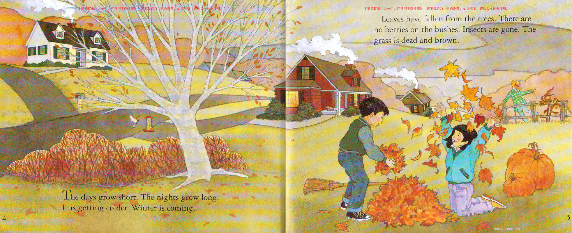 Animals in Winter绘本故事第3页