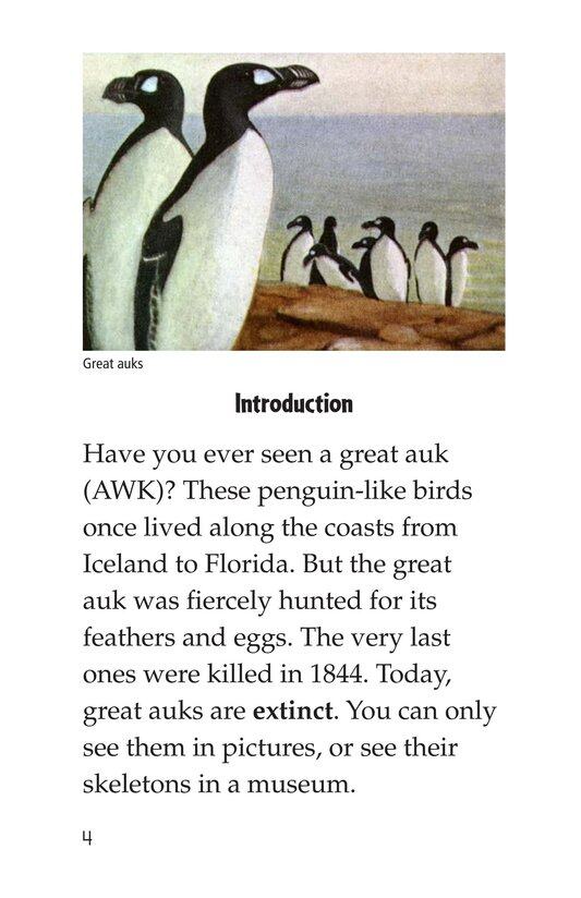 Endangered Birds绘本故事第3页