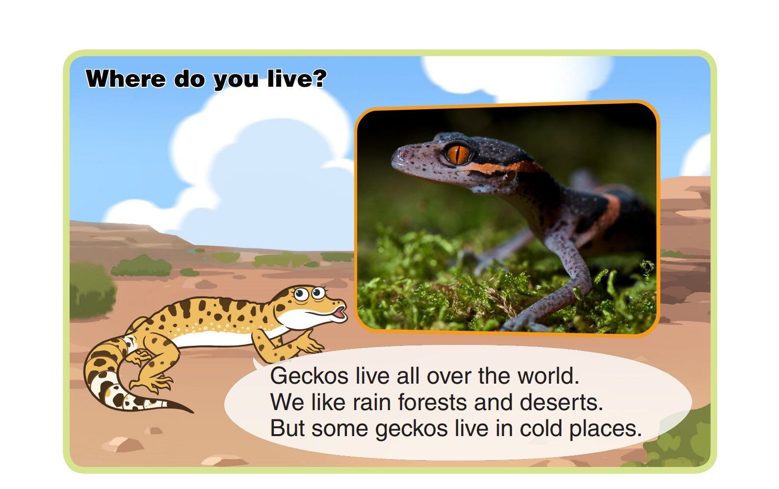 Gecko绘本故事第5页