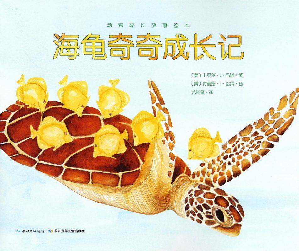 动物成长故事绘本：海龟奇奇成长记绘本故事第1页