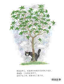 莫格爱闯祸绘本故事第4页