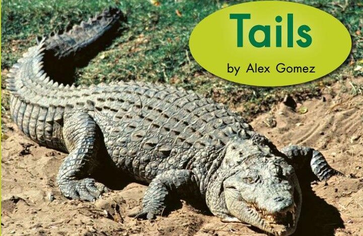 Tails绘本故事第2页