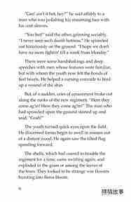 The Red Badge of Courage (Part 5)绘本故事第4页
